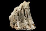 Calcite & Aragonite Stalactite Formation - Morocco #100995-2